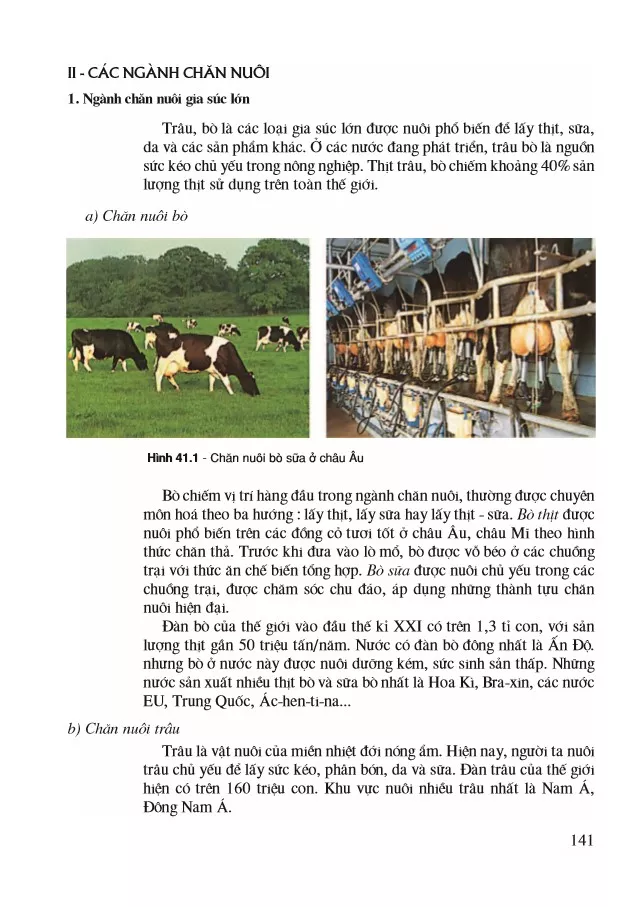 Bài 41. Địa lí ngành chăn nuôi