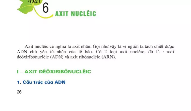 Bài 6. Axit nuclêic