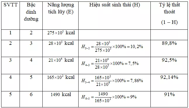 Trắc nghiệm Sinh học 12 Bài 1 (có đáp án): Gen, mã di truyền và quá trình nhân đôi ADN Bai 45 Dong Nang Luong Trong He Sinh Thai Va Hieu Suat Sinh Thai 1 1