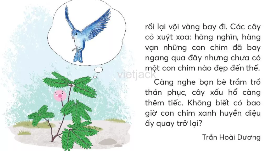 Tiếng Việt lớp 2 Bài 1: Cây nhút nhát trang 114, 115, 116 - Chân trời Bai 1 Cay Nhut Nhat 2