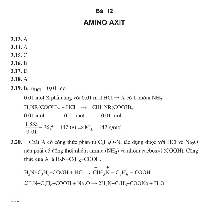 Bài 12: Amino axit
