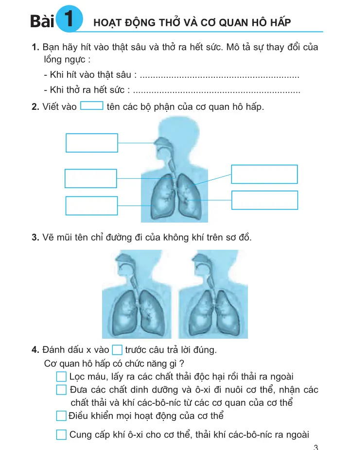 Bài 1: Hoạt động thở và cơ quan hô hấp