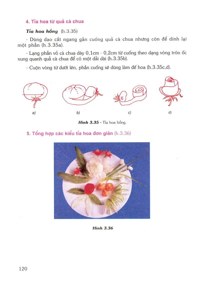 Bài 24: Thực hành - Tỉa hoa trang trí món ăn từ một số loại rau, củ , quả
