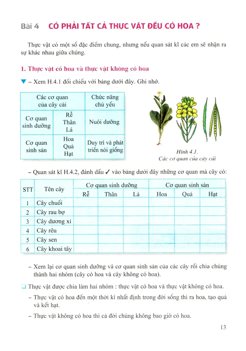 Bài 4: Có phải tất cả thực vật đều có hoa?
