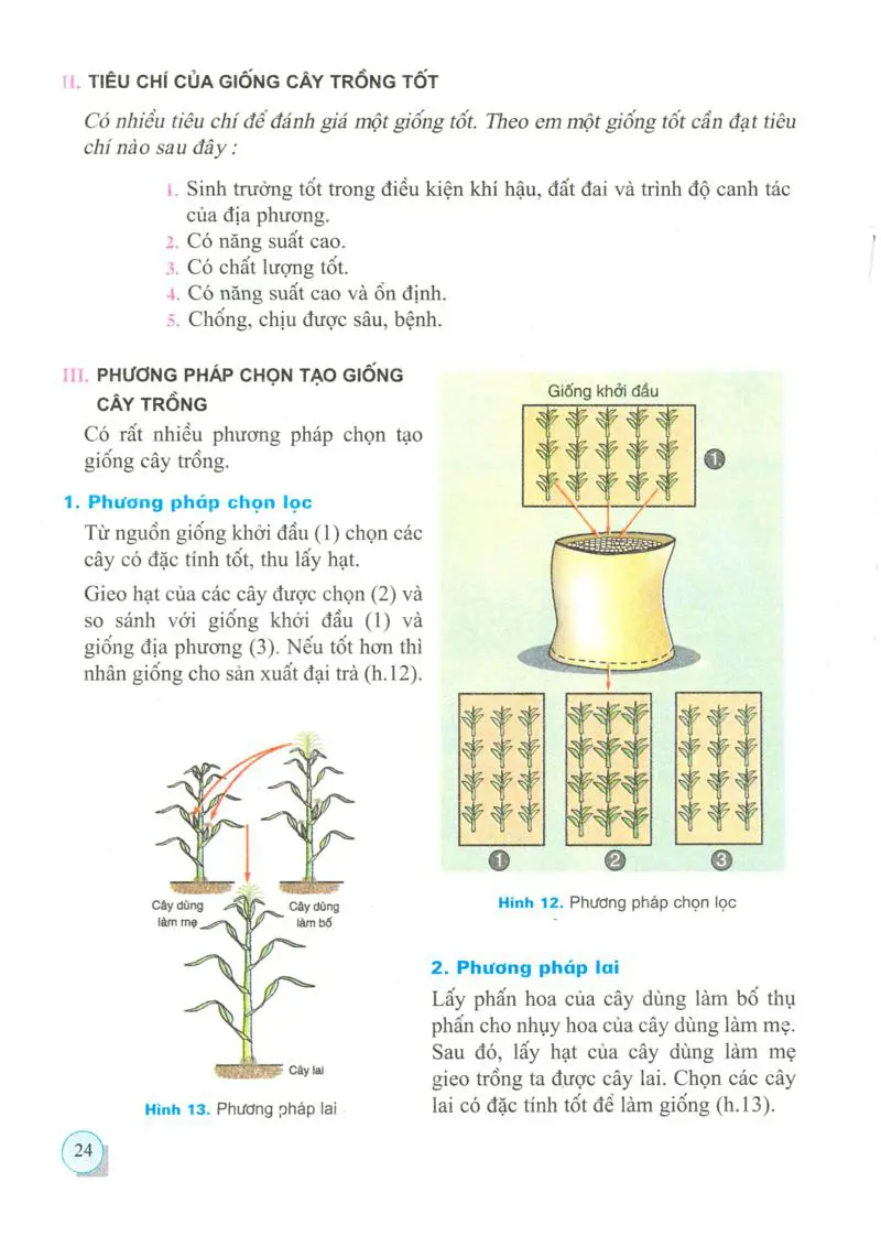 Bài 10: Vai trò của giống và phương pháp chọn giống cây trồng