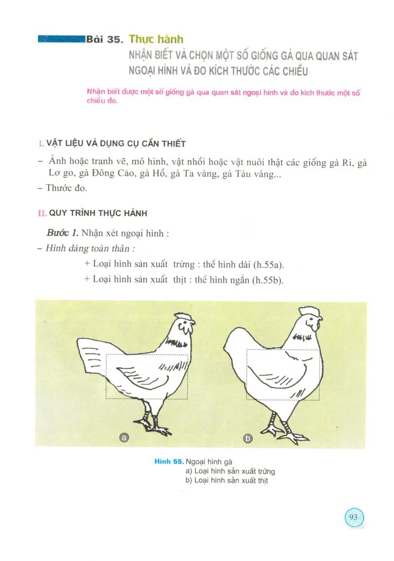Bài 35: Thực Hành : Nhận biết và chọn một số giống gà quan sát ngoại hình và đo kích thước các chiều