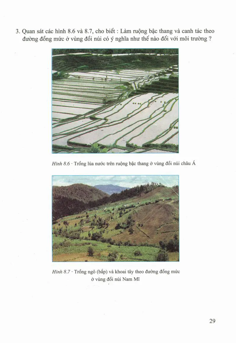 Bài 8: Các hình thức canh tác trong nông nghiệp ở đới nóng