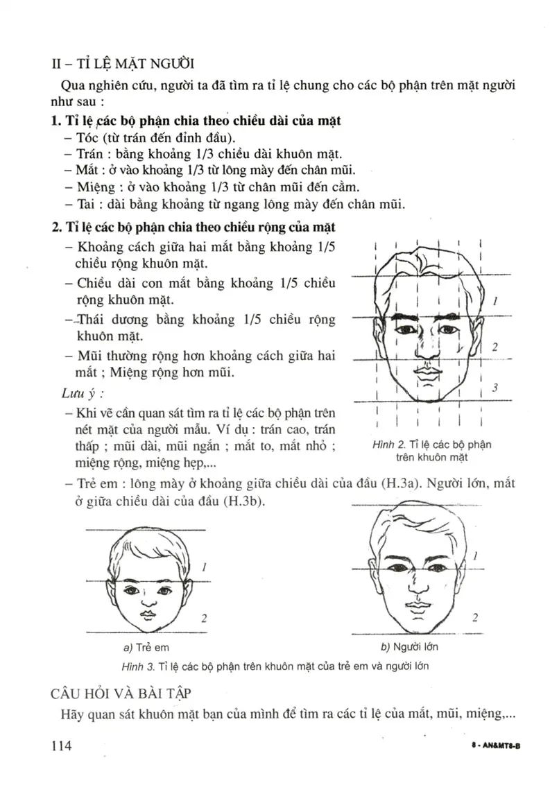 Vẽ theo mẫu Giới thiệu tỉ lệ khuôn mặt người