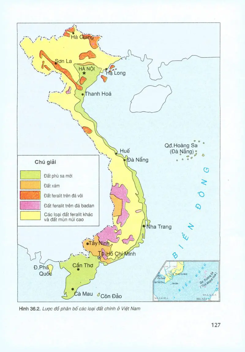 Bài 36: Đặc điểm đất Việt Nam