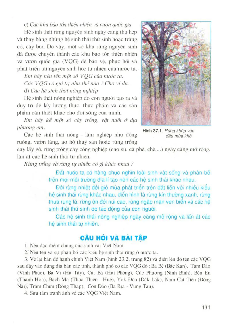 Bài 37: Đặc điểm sinh vật Việt Nam