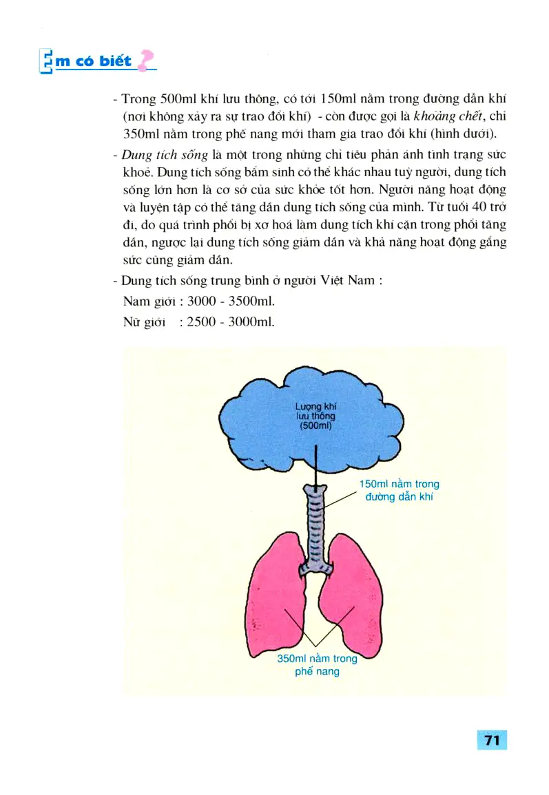 Bài 21: Hoạt động hô hấp