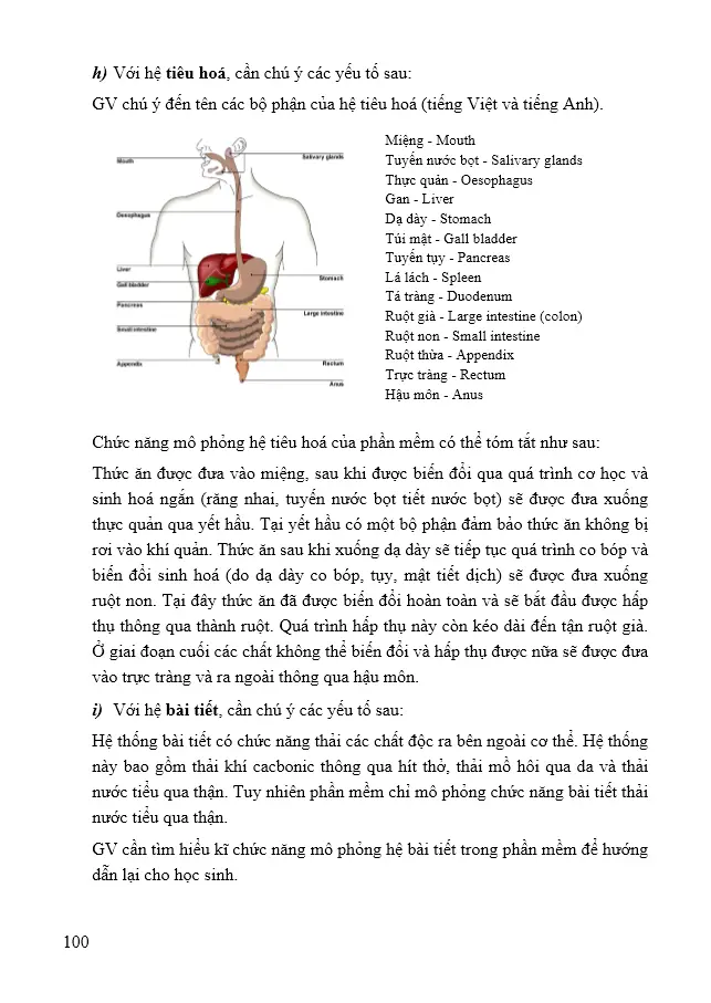 Bài 10. Làm quen với giải phẫu cơ thể người bằng phần mềm Anatomy