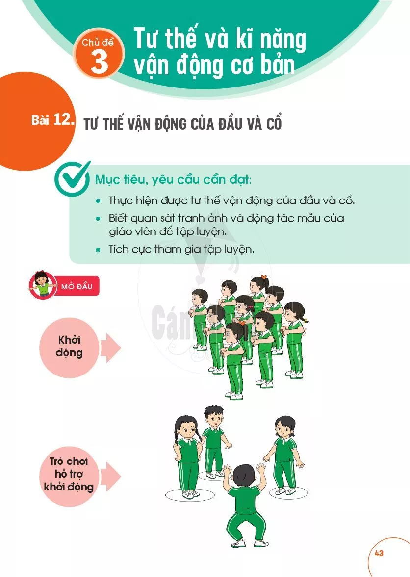 Bài 12: Tư thế vận động của đầu và cổ