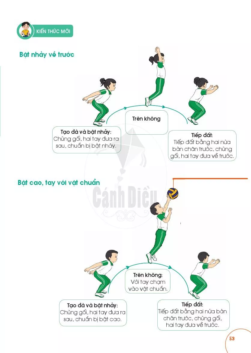Bài 15: Các hoạt động vận động phối hợp của cơ thể