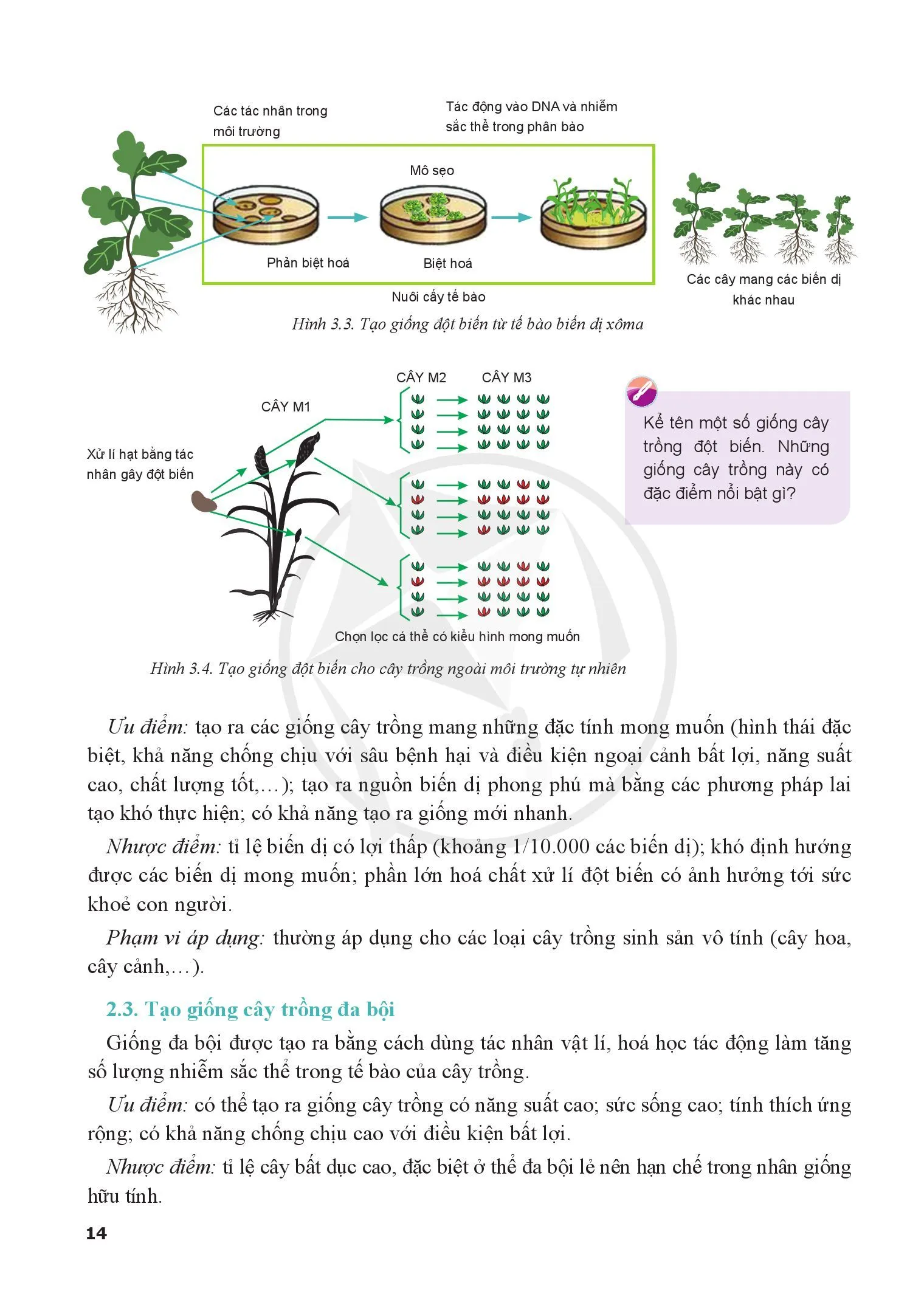 Bài 3. Ứng dụng công nghệ sinh học trong chọn tạo giống cây trồng