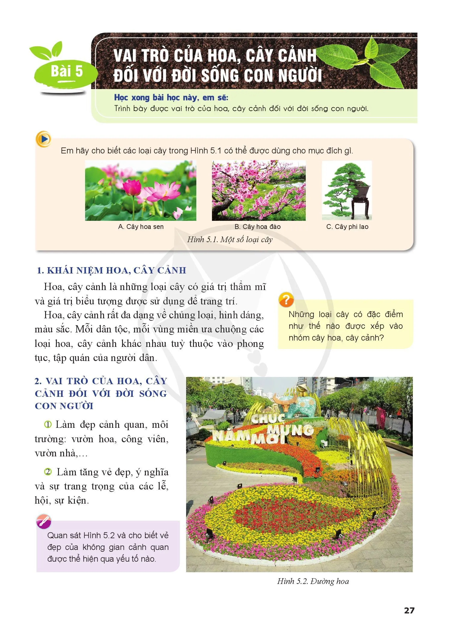 Bài 5. Vai trò của hoa, cây cảnh đối với đời sống con người