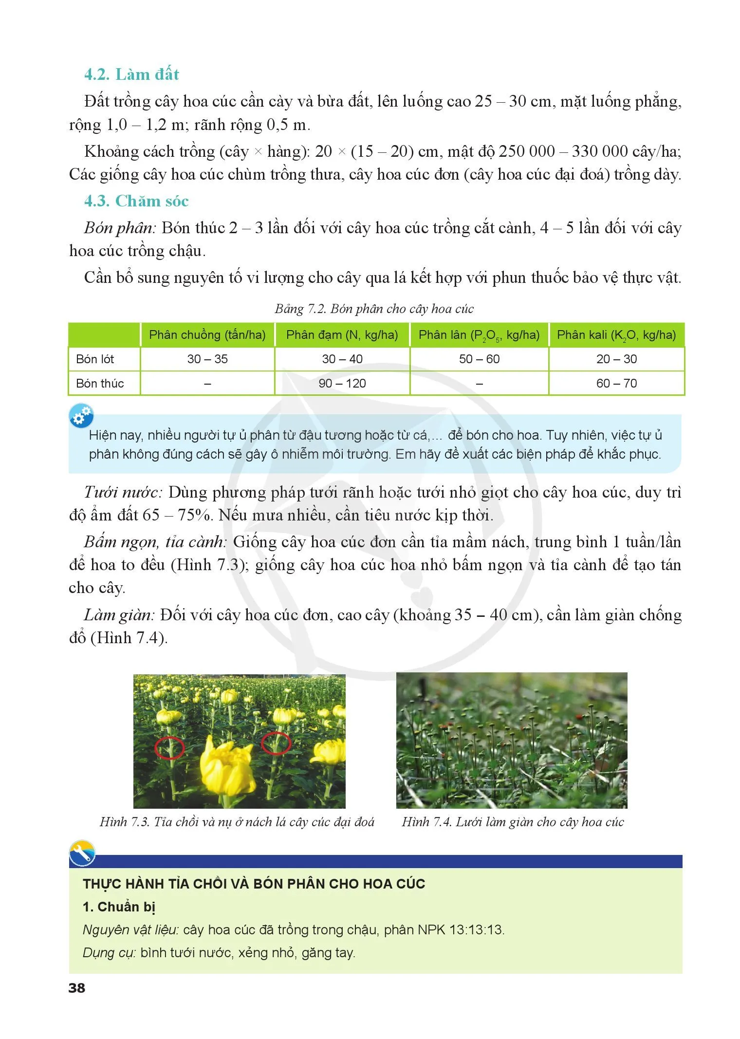 Bài 7. Kĩ thuật trồng và chăm sóc cây hoa cúc