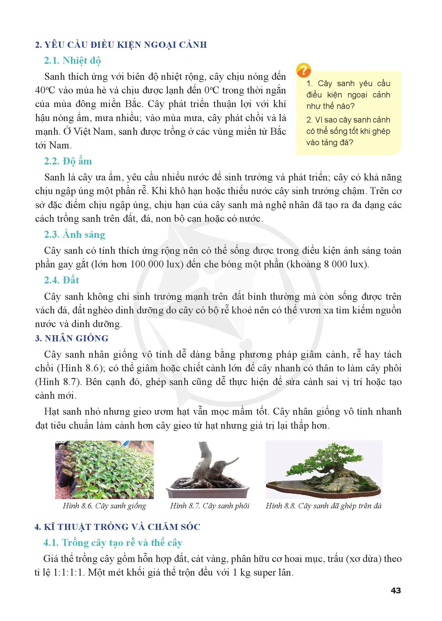 Bài 8. Kĩ thuật trồng, chăm sóc và tạo hình cây sanh