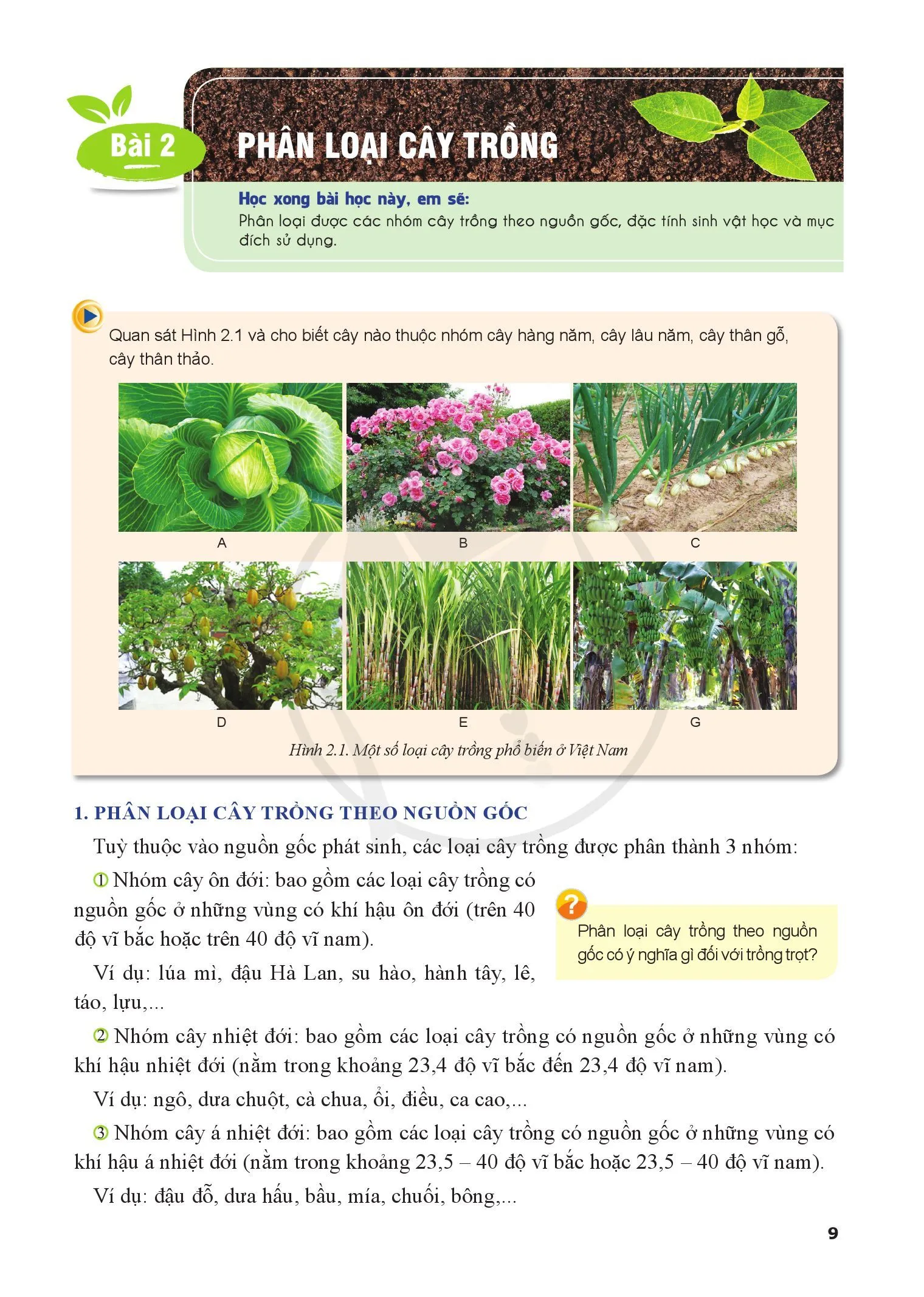 Bài 2. Phân loại cây trồng