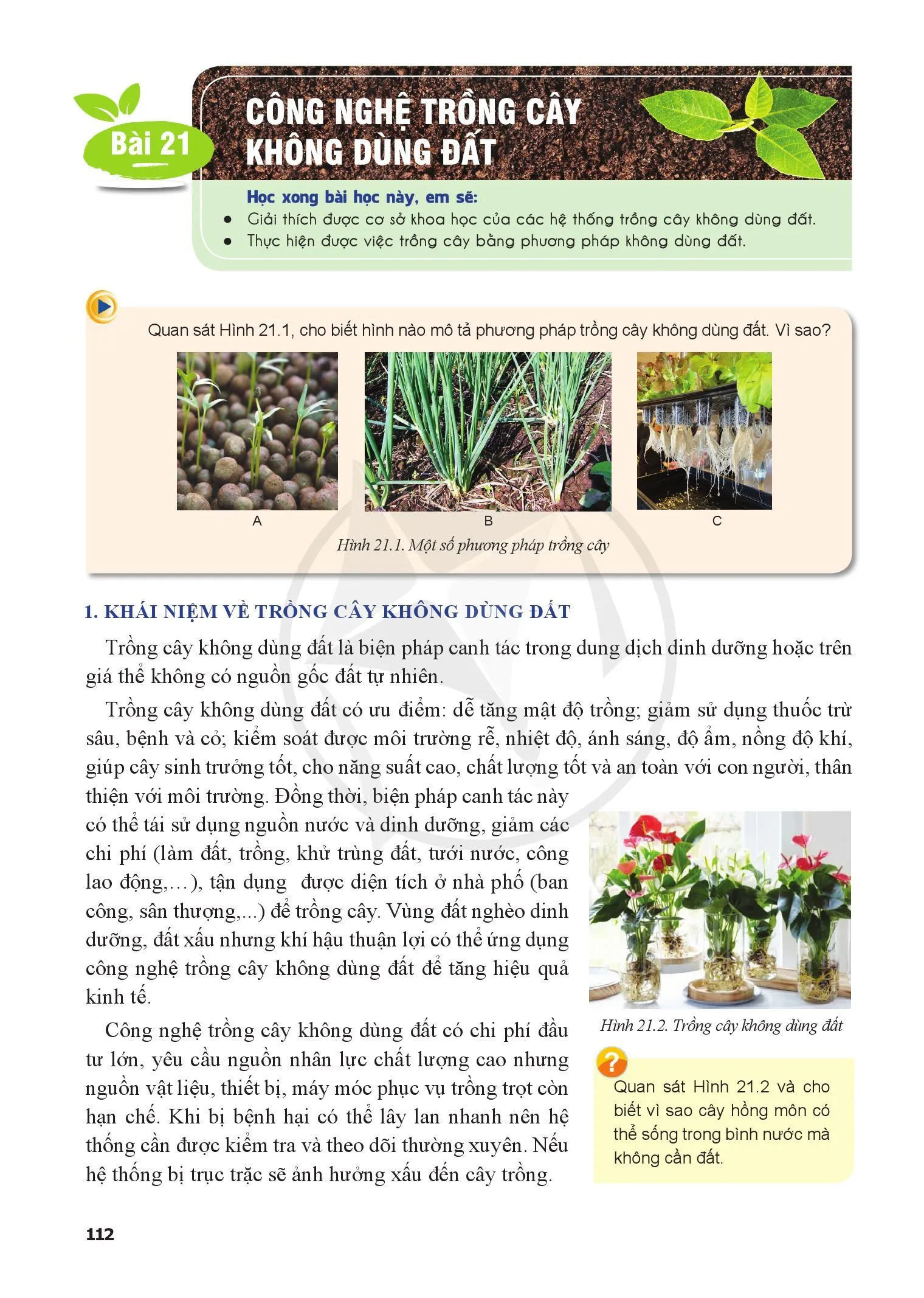 Bài 21. Công nghệ trồng cây không dùng đất