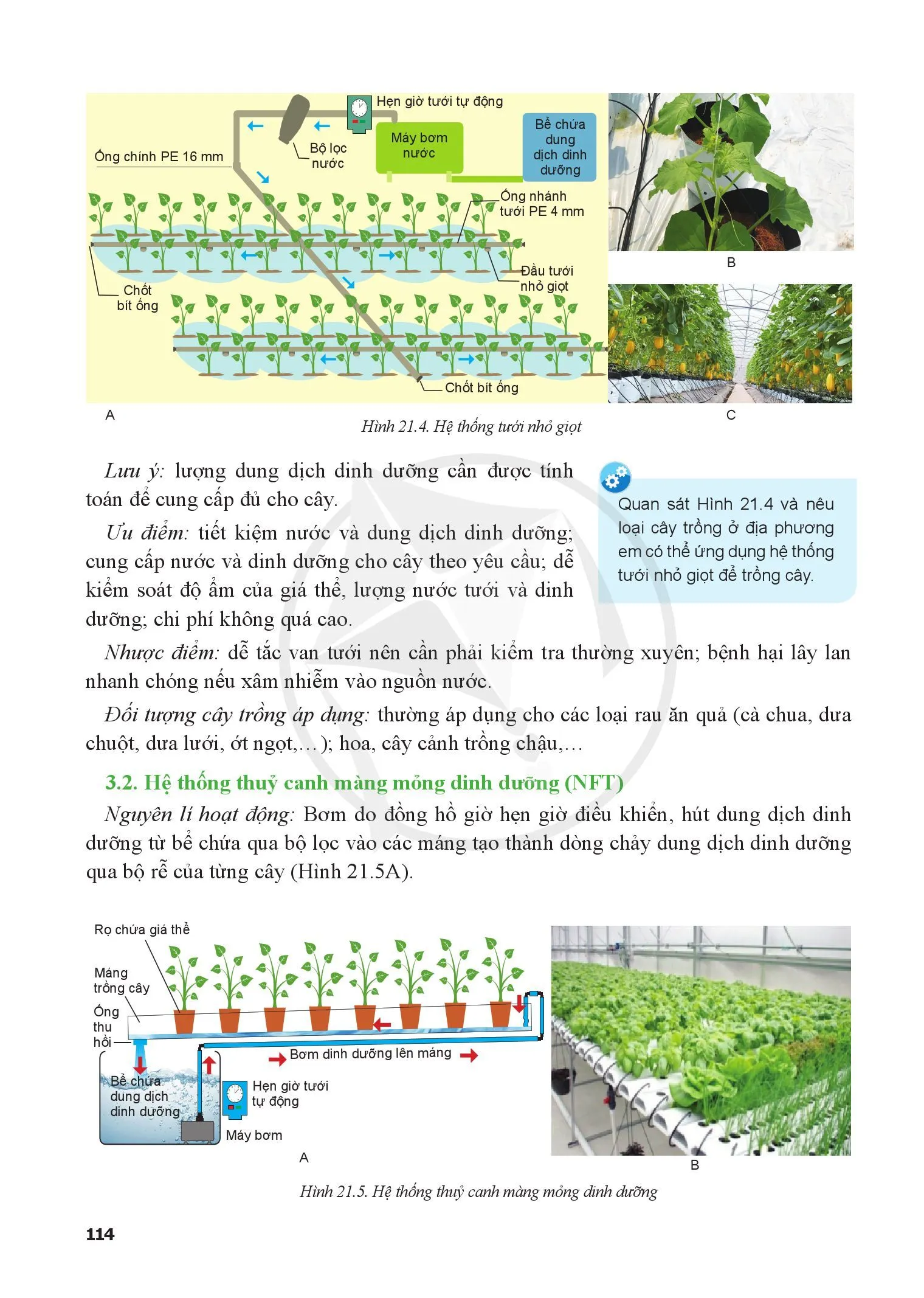 Bài 21. Công nghệ trồng cây không dùng đất