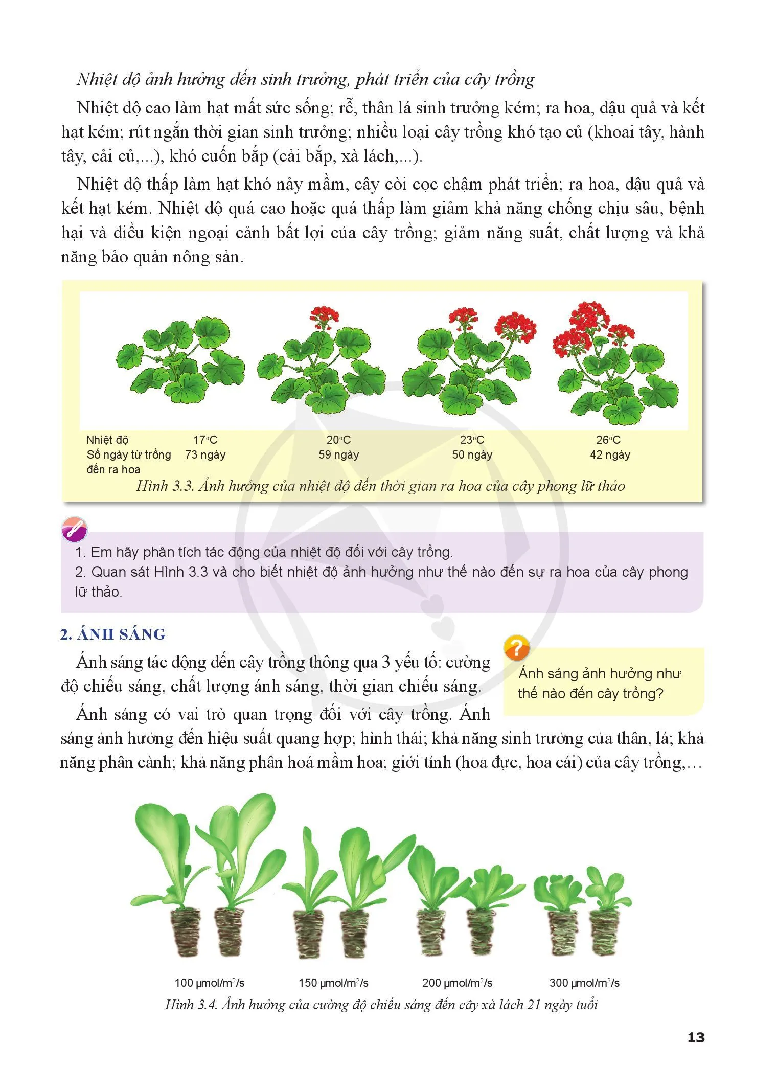 Bài 3. Mối quan hệ giữa cây trồng và các yếu tố chính trong trồng trọt 