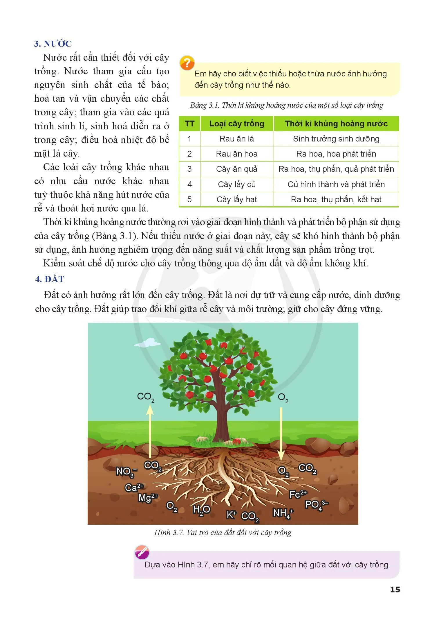 Bài 3. Mối quan hệ giữa cây trồng và các yếu tố chính trong trồng trọt 
