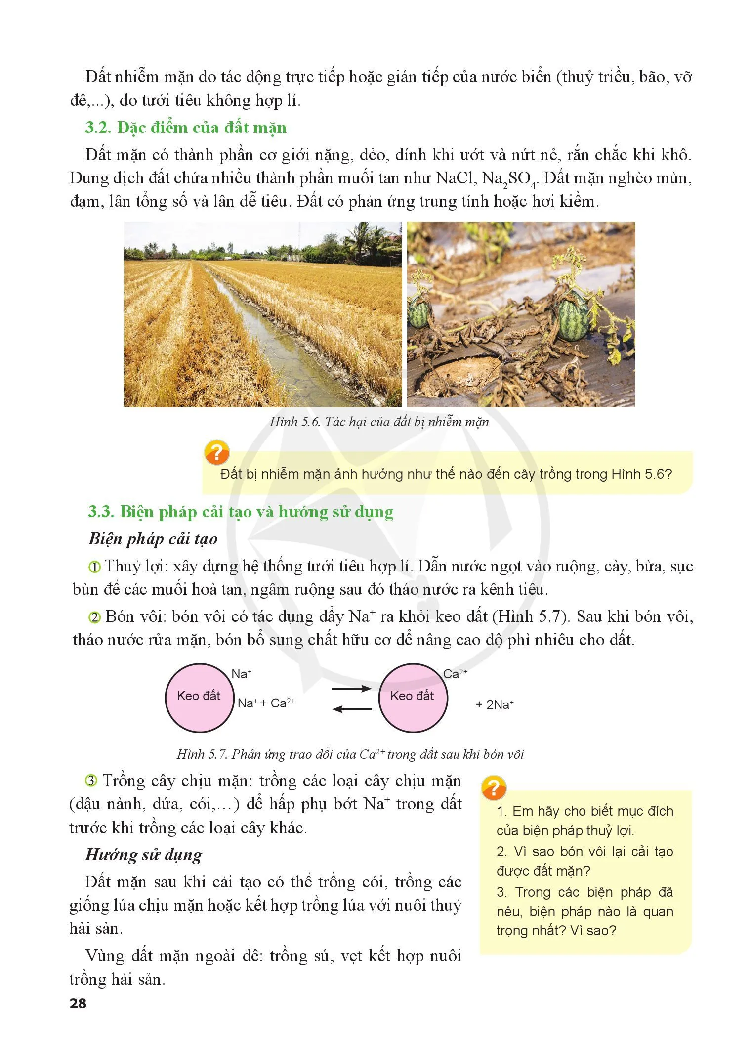 Bài 5. Biện pháp cải tạo, sử dụng và bảo vệ đất trồng