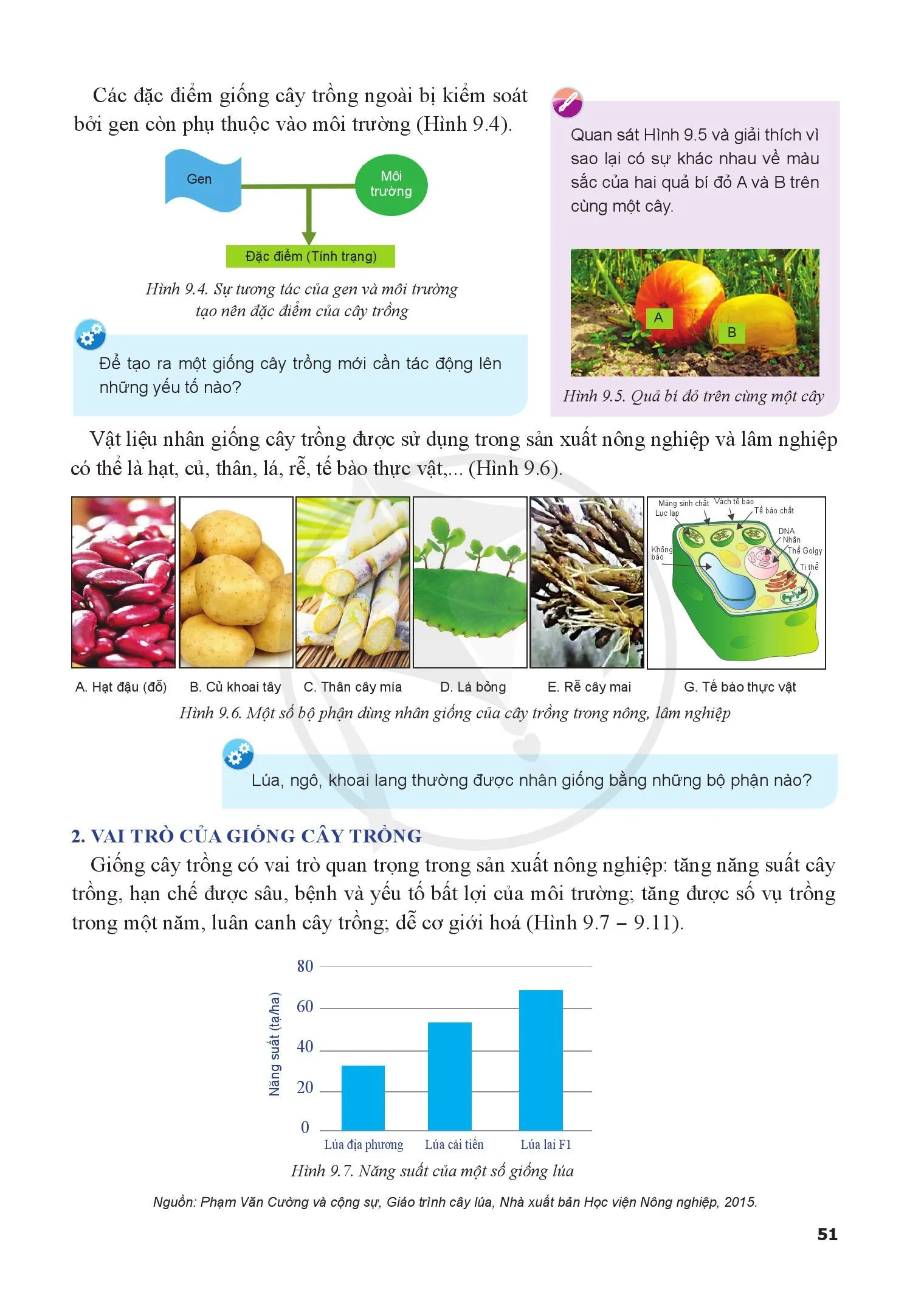 Bài 9. Giống cây trồng