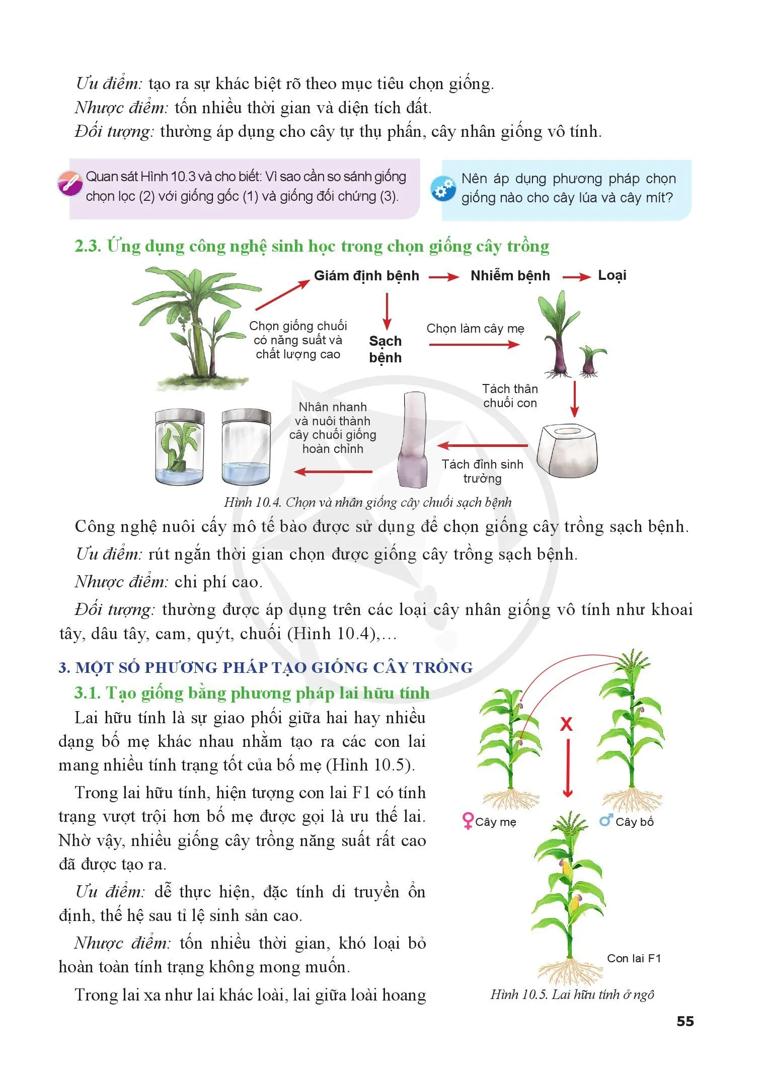Bài 10. Phương pháp chọn, tạo giống cây trồng