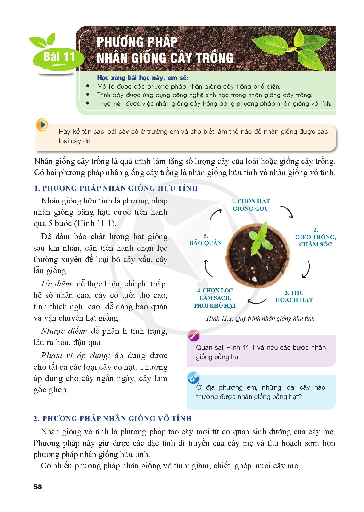 Bài 11. Phương pháp nhân giống cây trồng