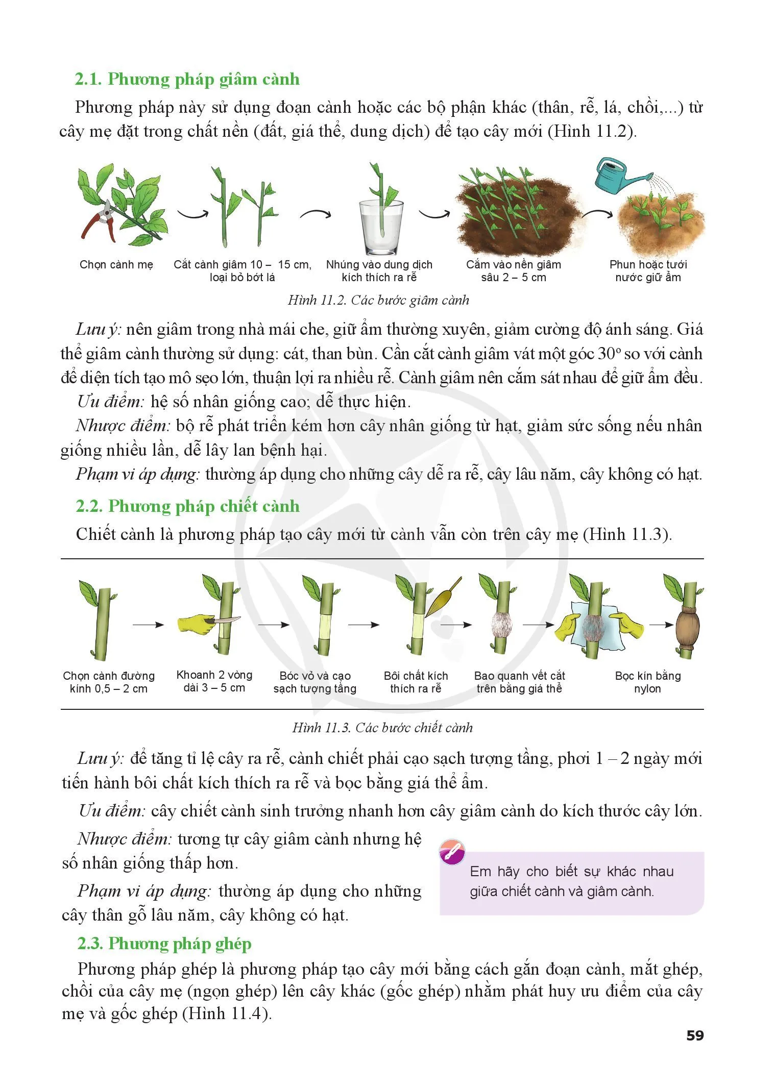 Bài 11. Phương pháp nhân giống cây trồng