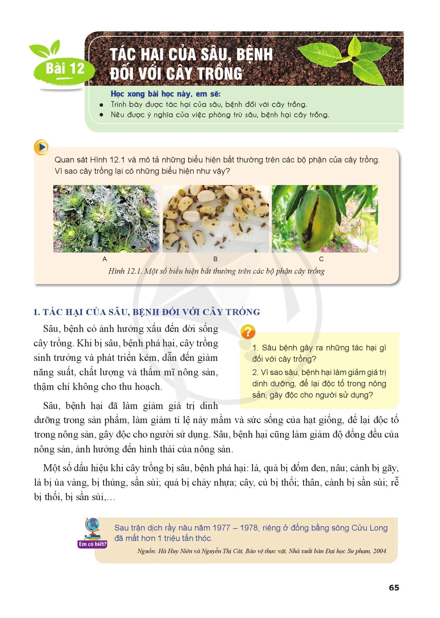 Bài 12. Tác hại của sâu, bệnh đối với cây trồng 