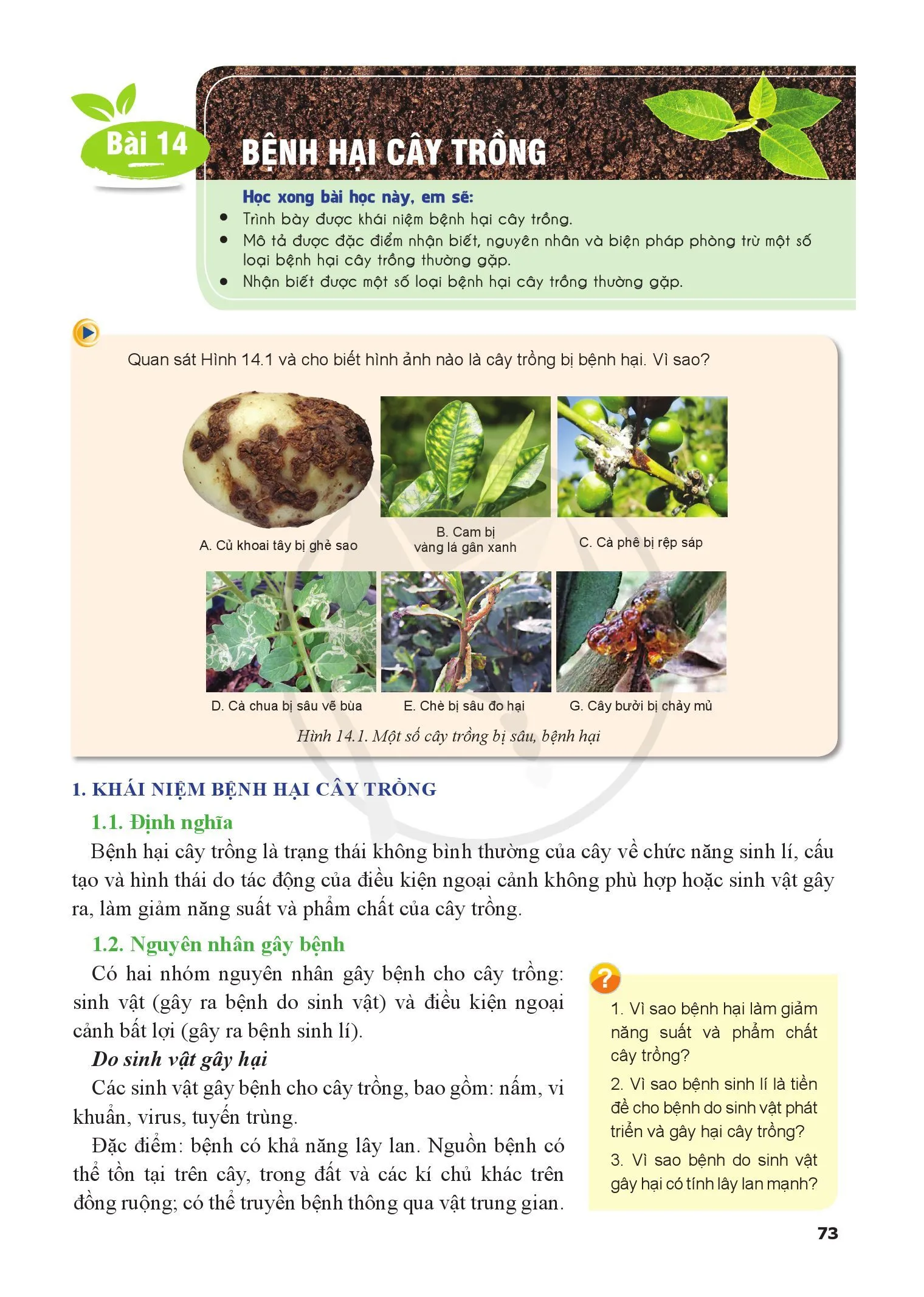 Bài 14. Bệnh hại cây trồng