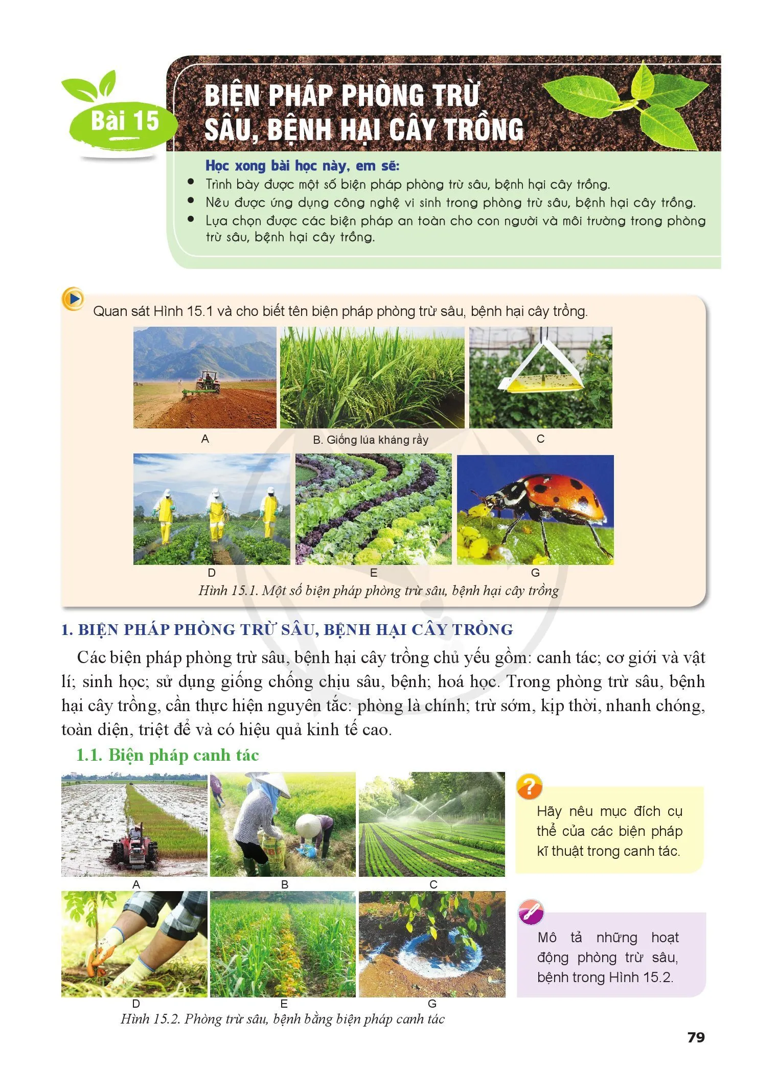Bài 15. Biện pháp phòng trừ sâu, bệnh hại cây trồng