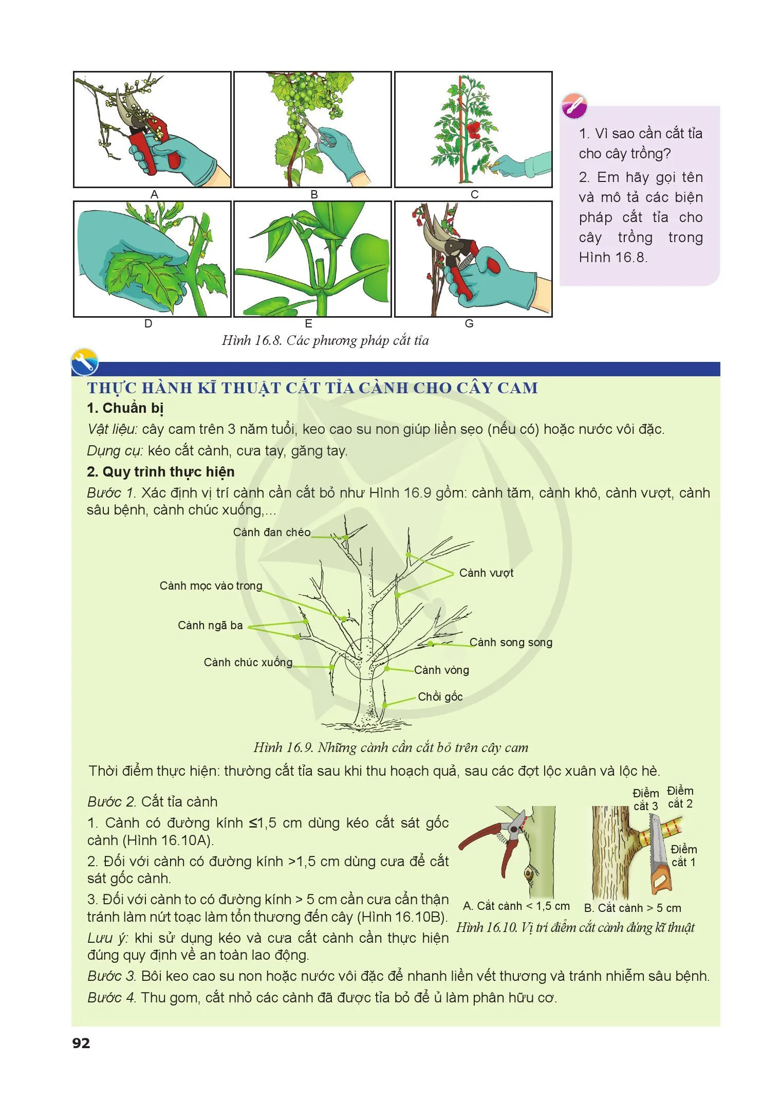 Bài 16. Quy trình trồng trọt
