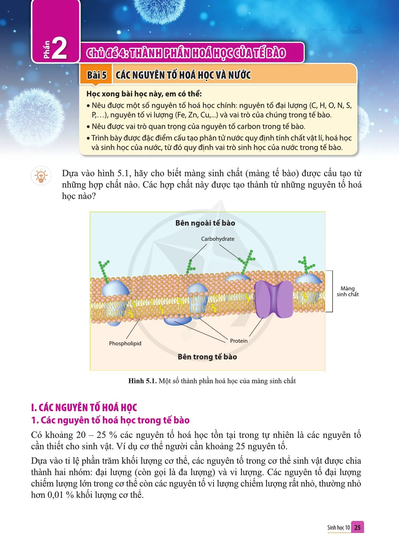 Bài 4. Khái quát về tế bào