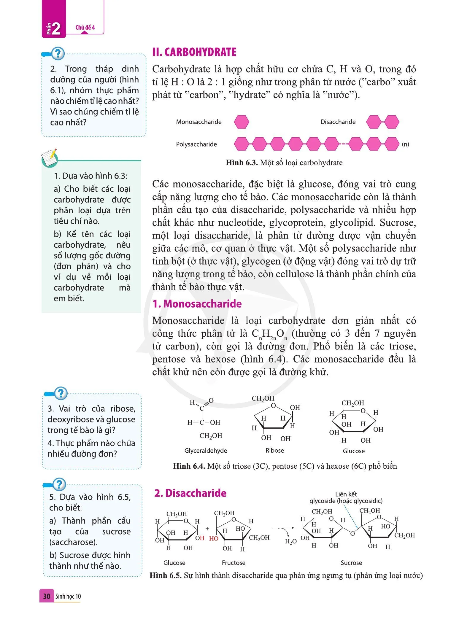 Bài 6. Các phân tử sinh học