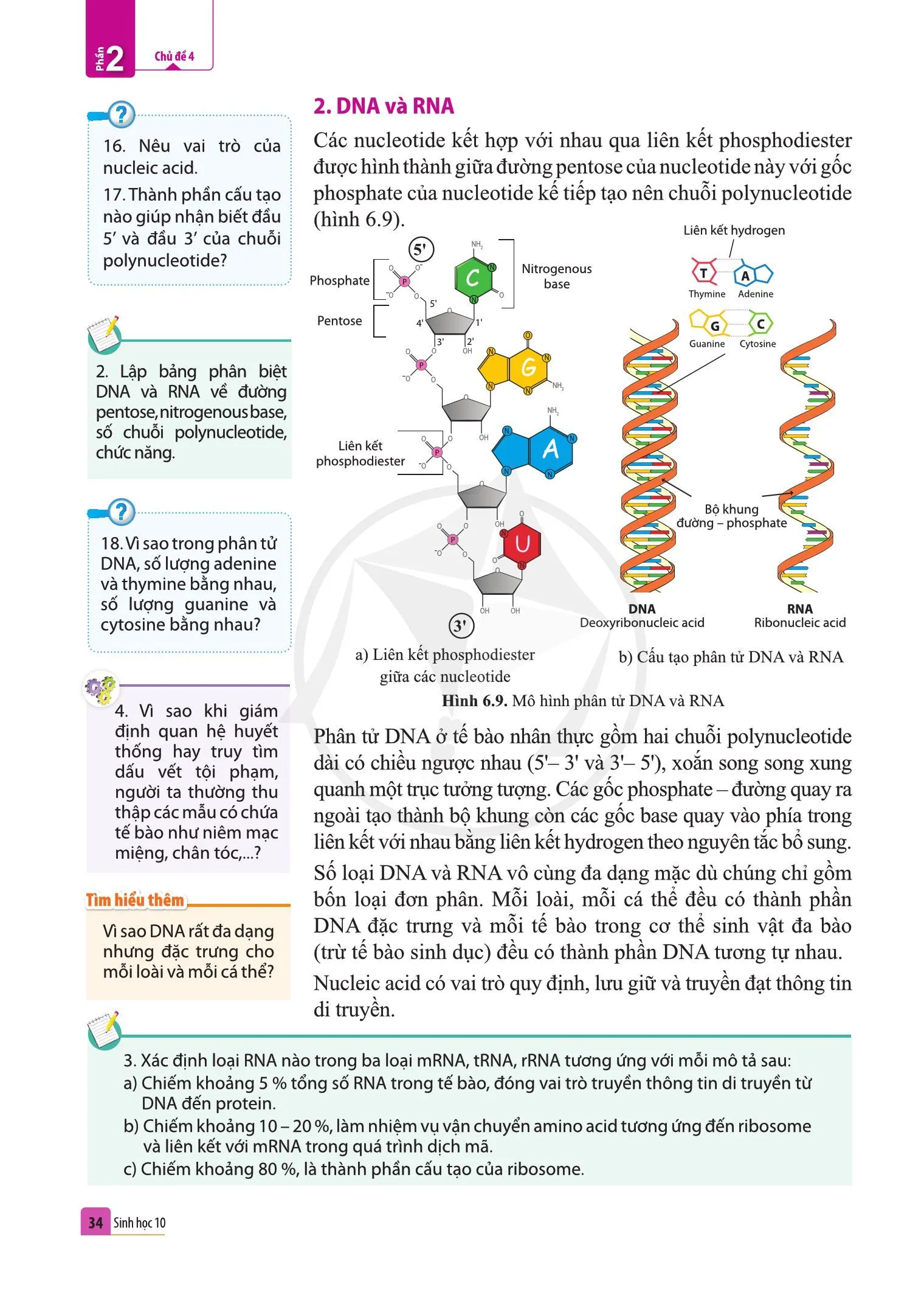 Bài 6. Các phân tử sinh học