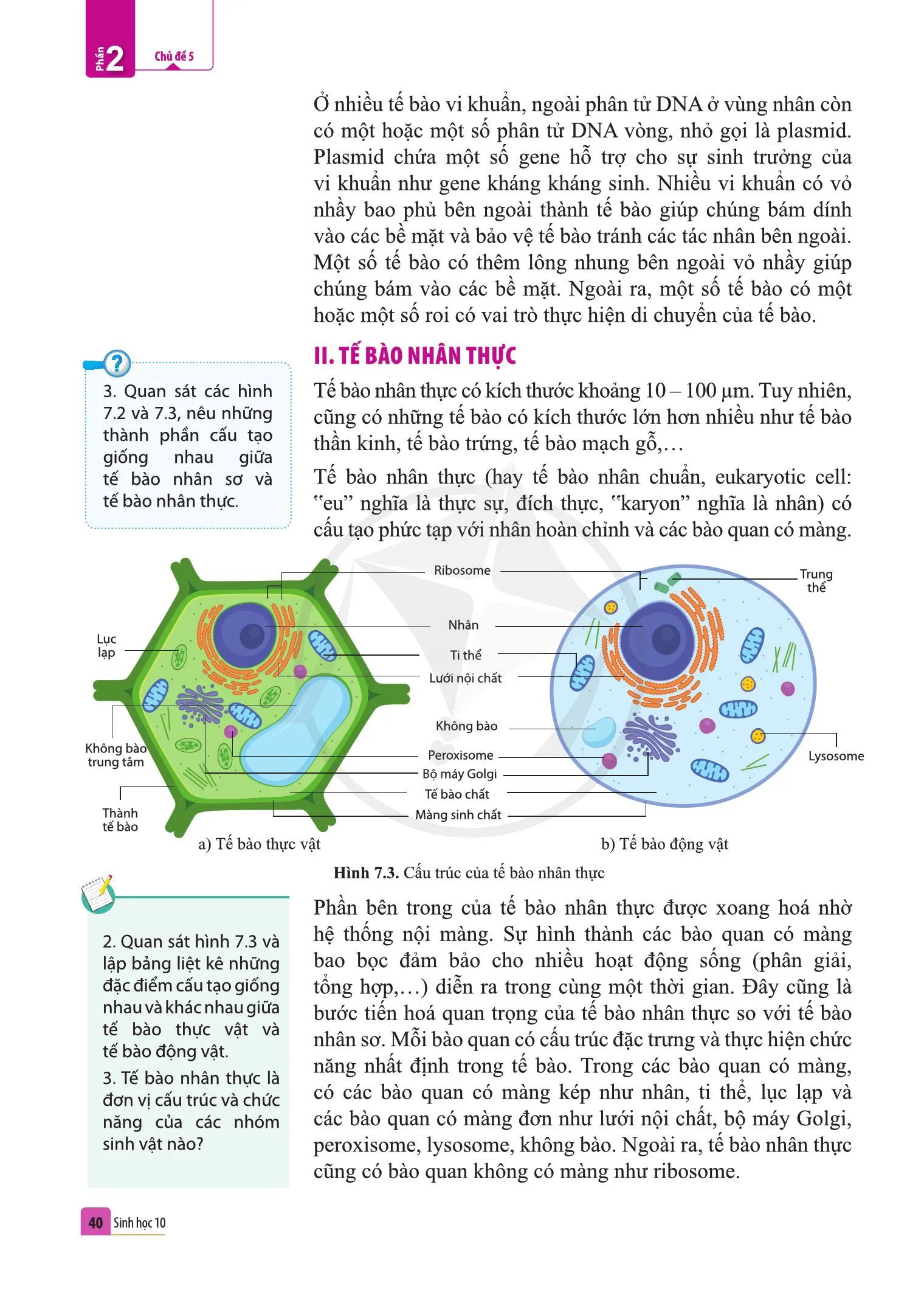 Bài 7. Tế bào nhân sơ và tế bào nhân thực