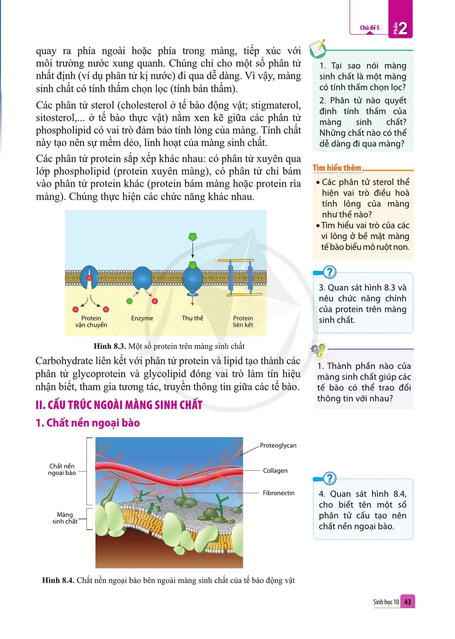 Bài 8. Cấu trúc của tế bào nhân thực