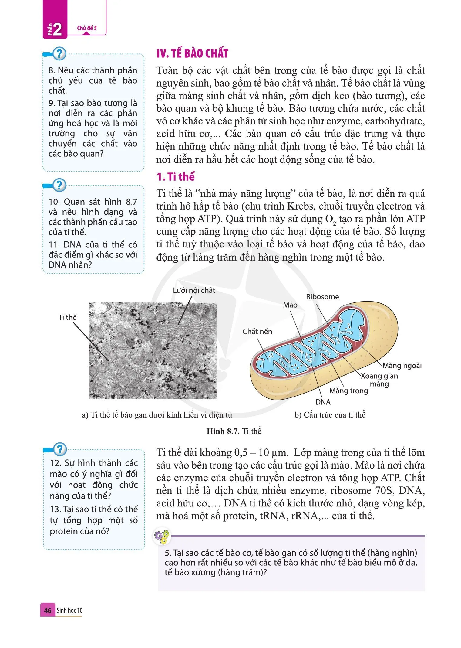 Bài 8. Cấu trúc của tế bào nhân thực