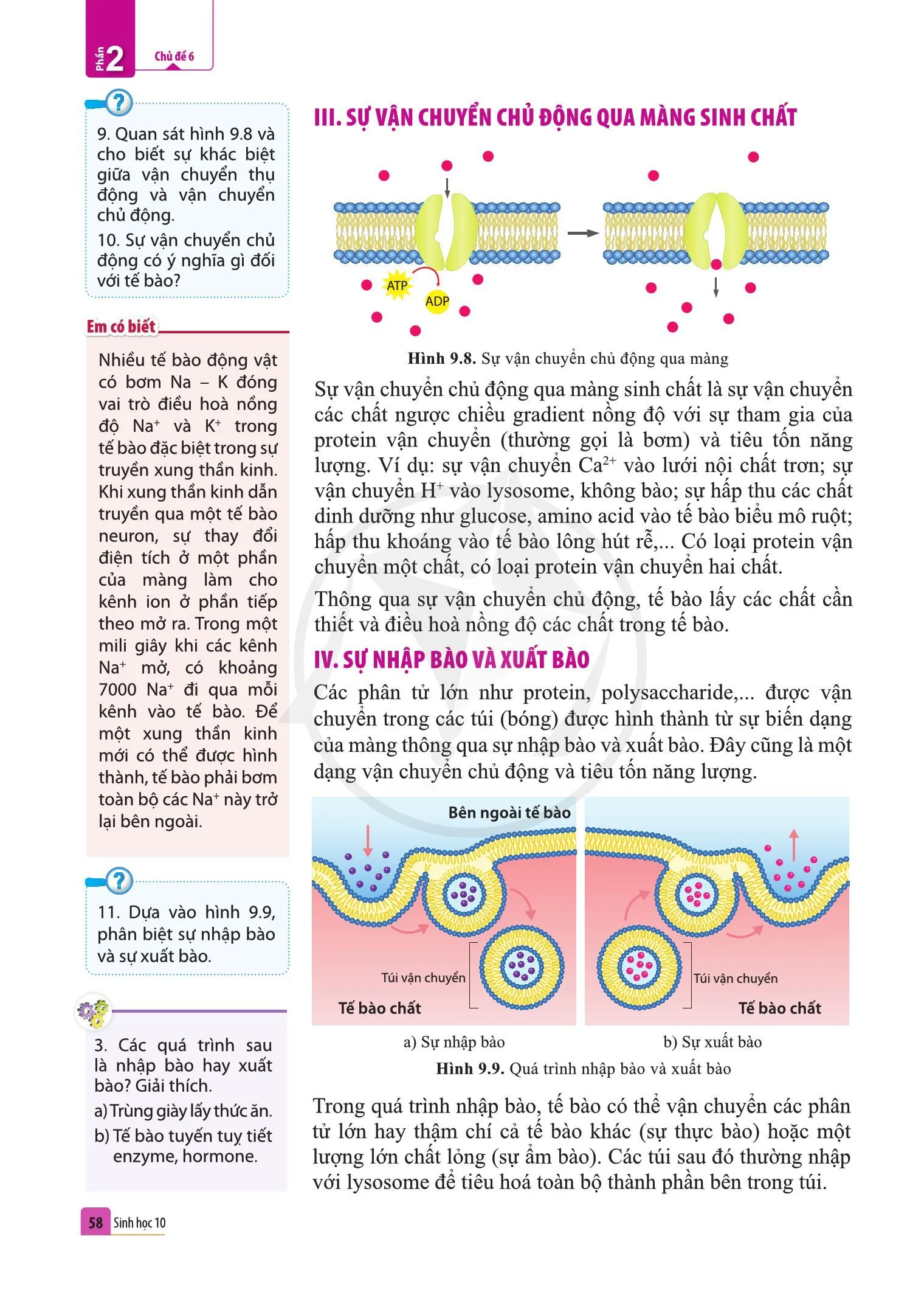 Bài 9. Trao đổi chất qua màng sinh chất