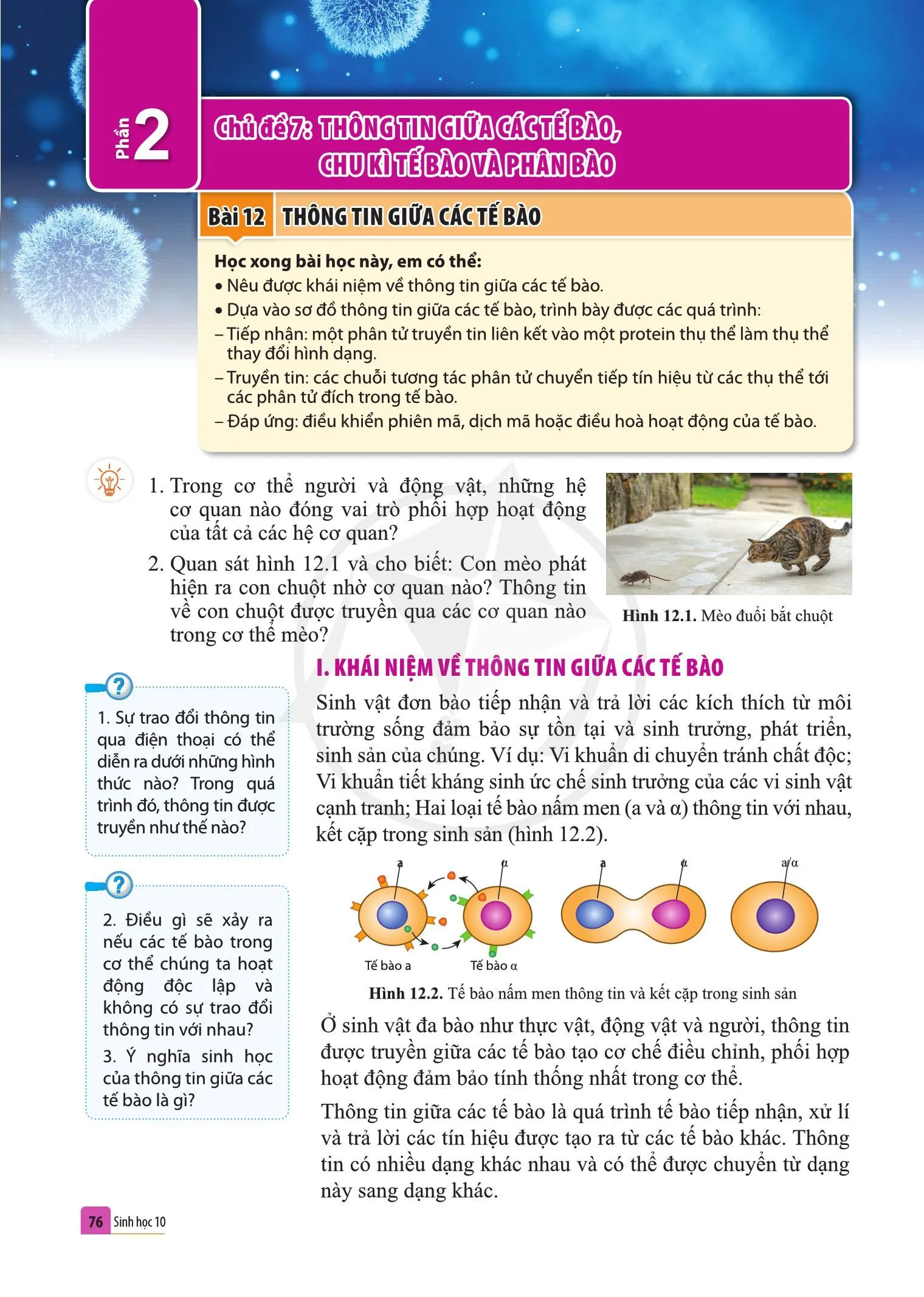 Bài 12. Thông tin giữa các tế bào