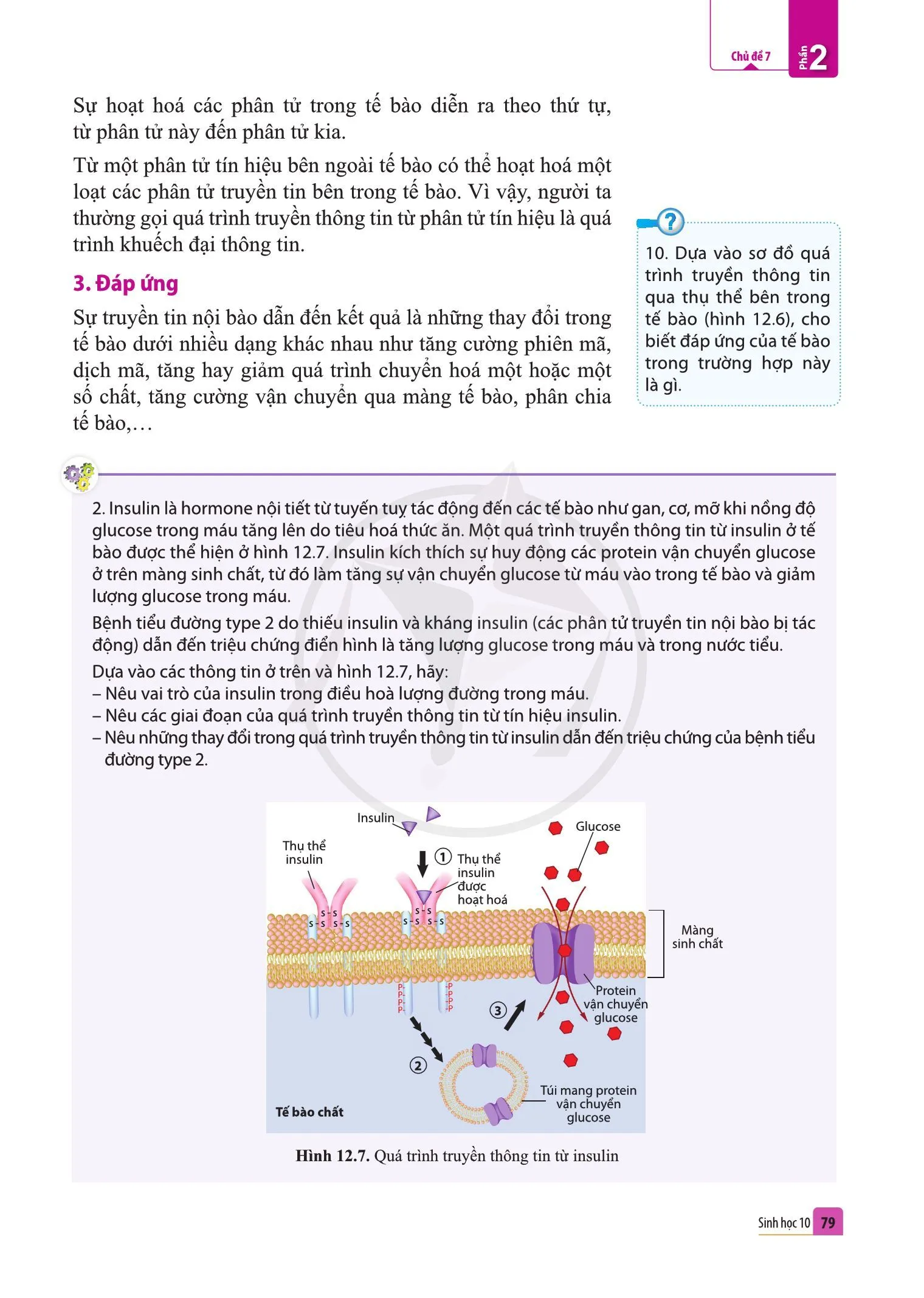 Bài 12. Thông tin giữa các tế bào