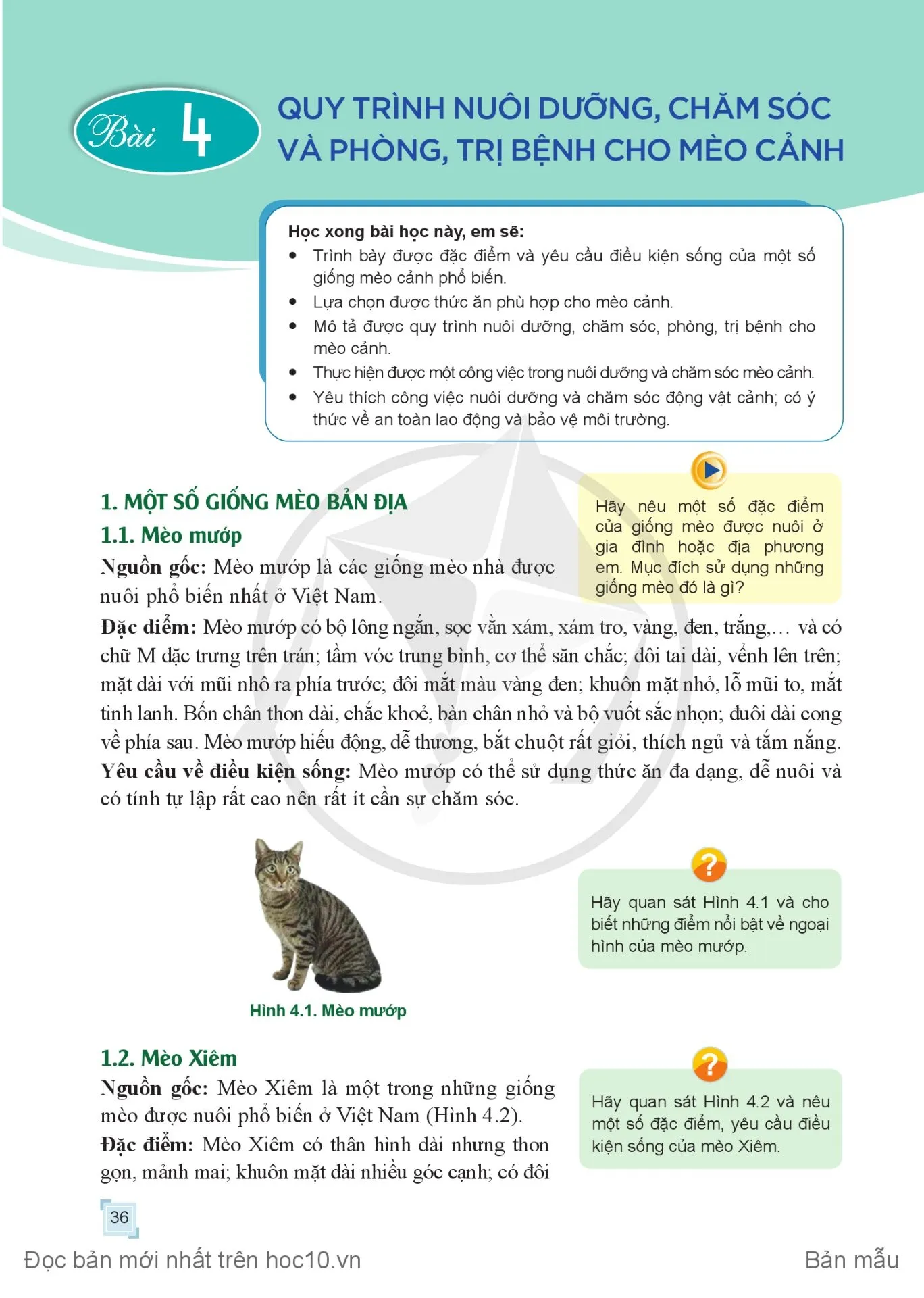 Bài 4. Quy trình nuôi dưỡng, chăm sóc và phòng, trị bệnh cho mèo cảnh