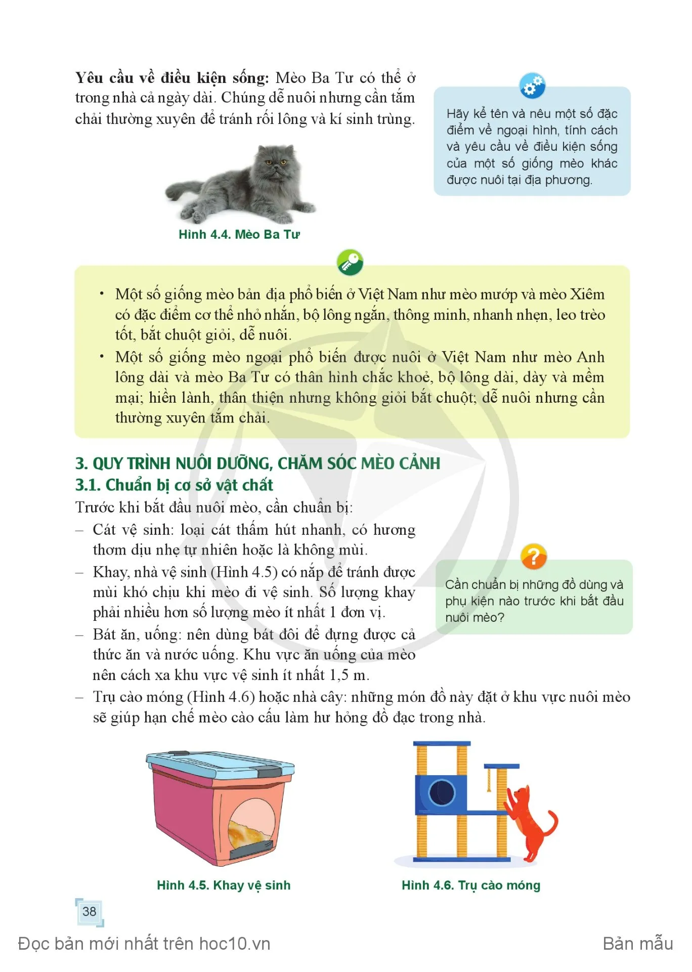 Bài 4. Quy trình nuôi dưỡng, chăm sóc và phòng, trị bệnh cho mèo cảnh