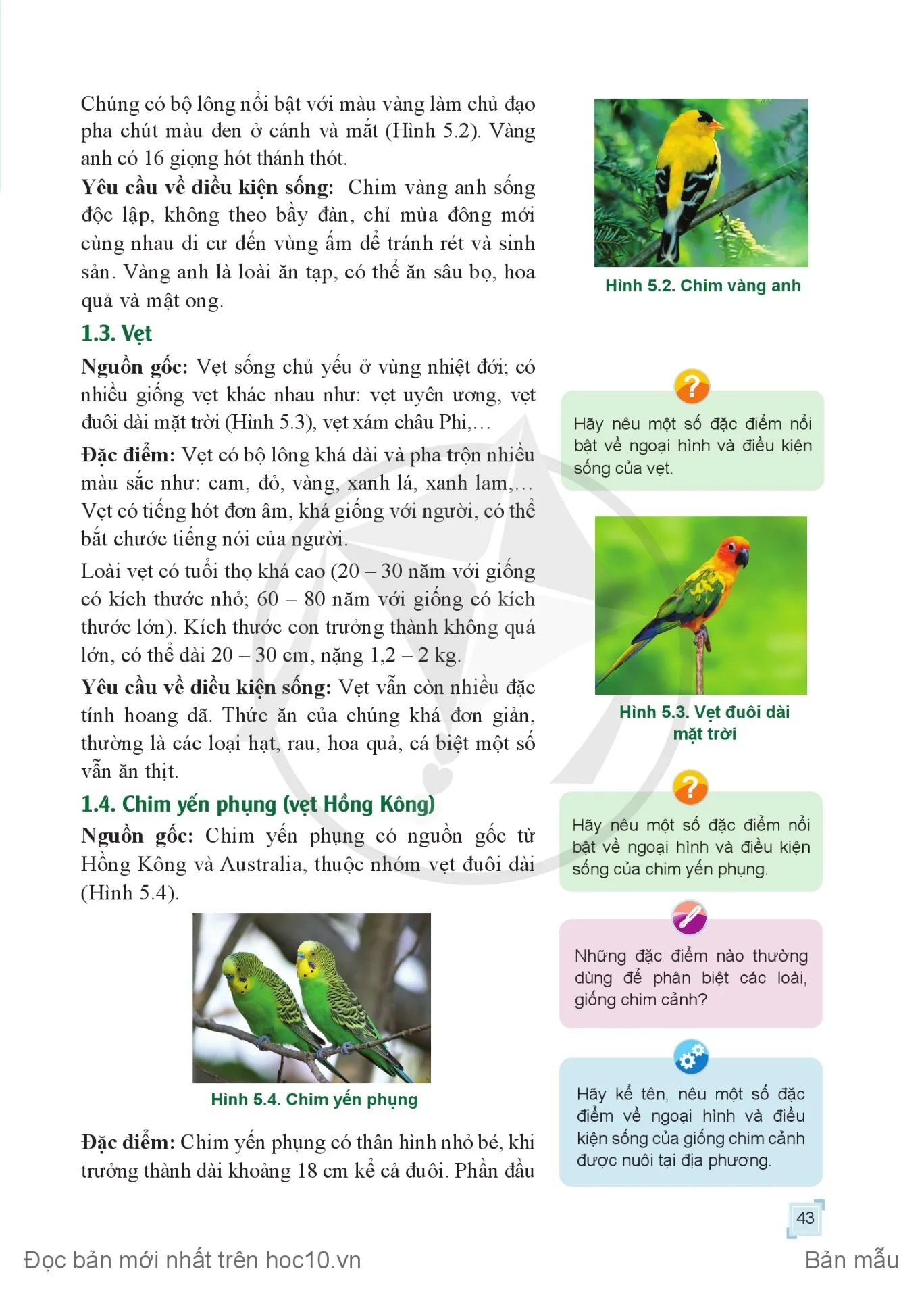 Bài 5. Quy trình nuôi dưỡng, chăm sóc và phòng, trị bệnh cho chim cảnh