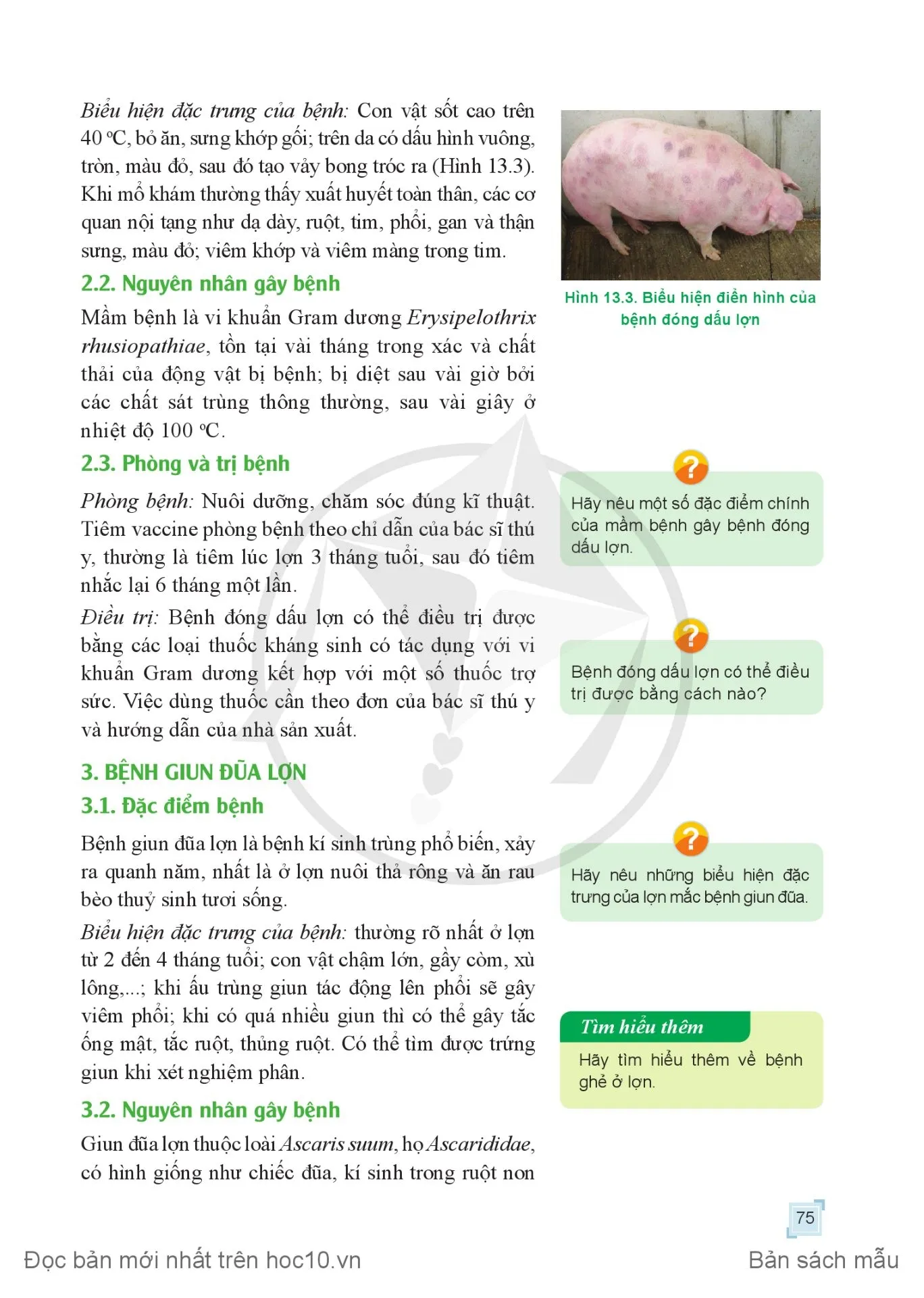 Bài 13. Phòng, trị một số bệnh phổ biến ở lợn .