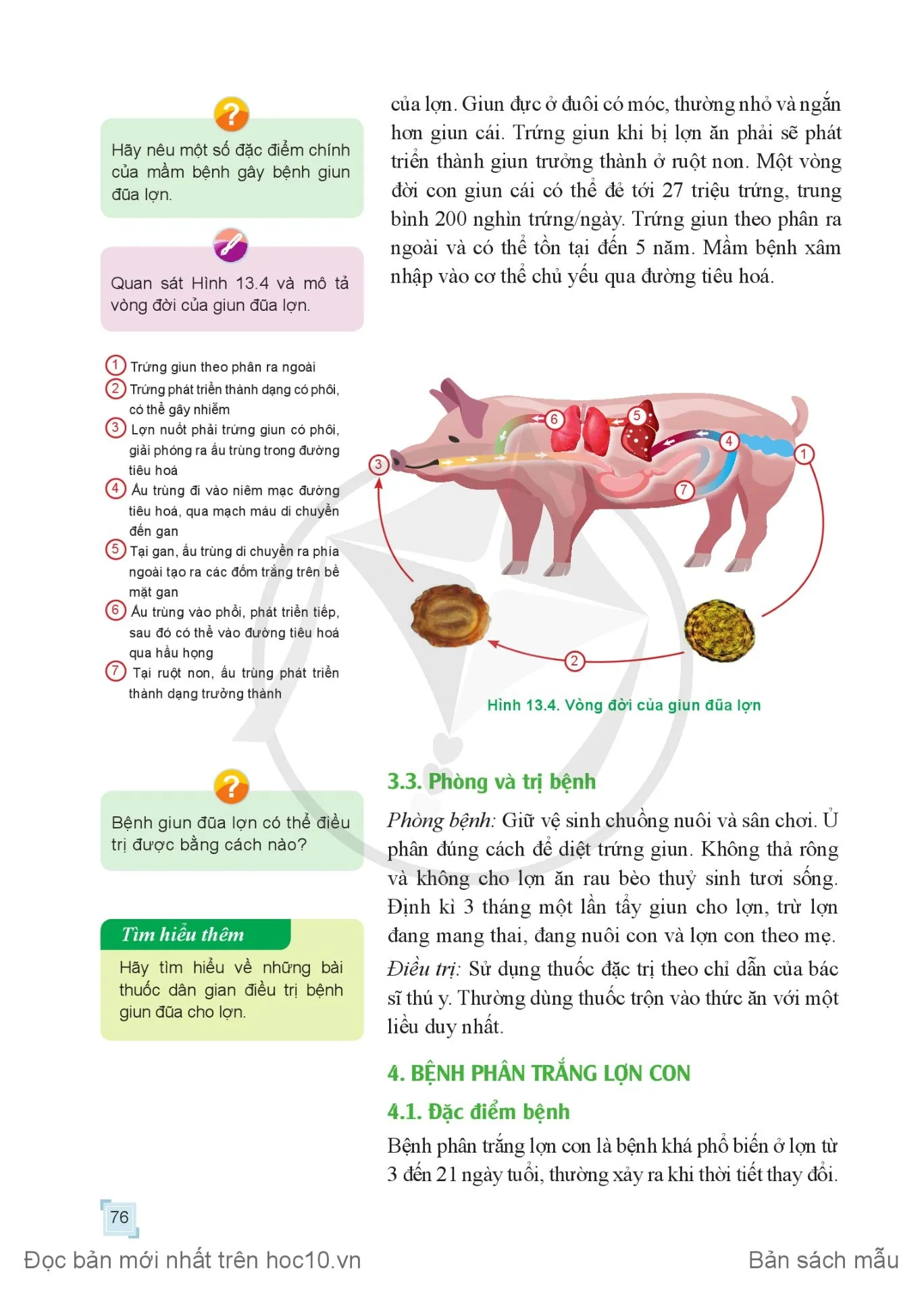 Bài 13. Phòng, trị một số bệnh phổ biến ở lợn .